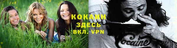 прущая мука Володарск